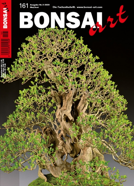 Logo:BONSAI ART 161