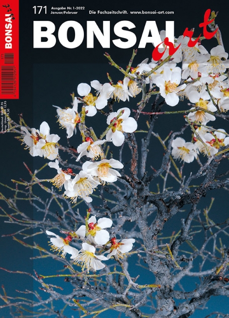 Logo:BONSAI ART 171