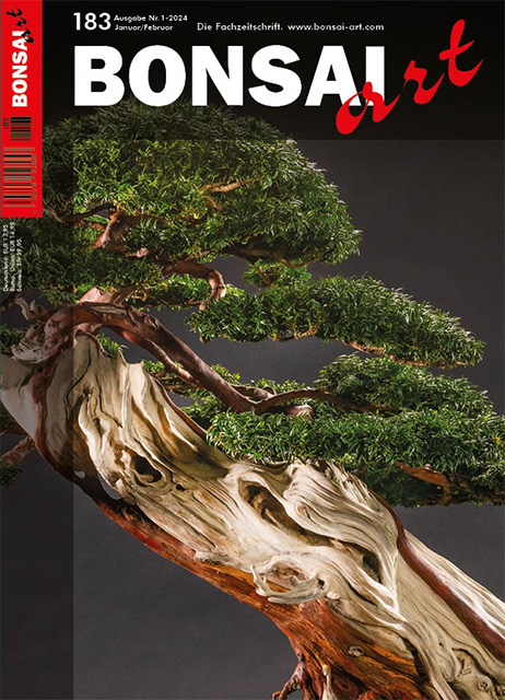 Logo:BONSAI ART 183