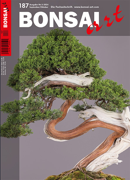 Logo:BONSAI ART 187