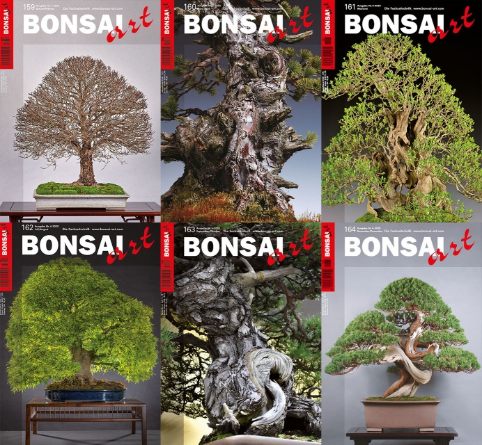 Logo:BONSAI ART Jahrgang 2020