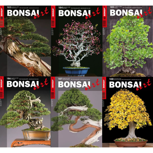Logo:BONSAI ART Jahrgang 2024